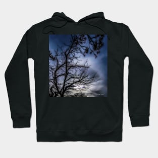 When The Night Comes Falling Through The Sky Hoodie